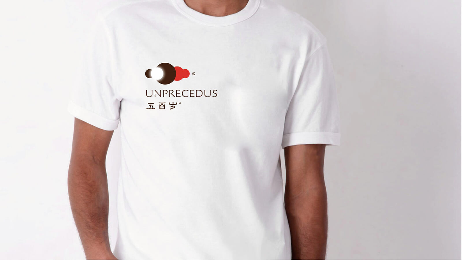 Unprcecdu 五百岁(图1)