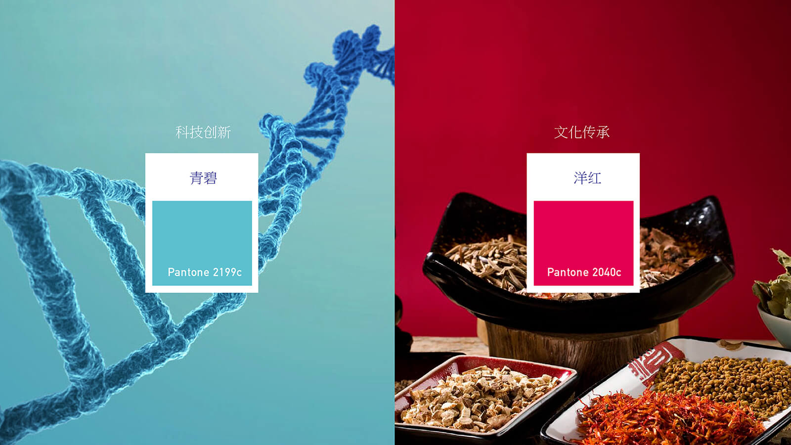 同仁堂健康(图3)